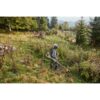 Débroussailleuse thermique STIHL FS 311 STIHL – Image 3