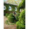 Taille-haies HS 56 C-E STIHL – Image 6